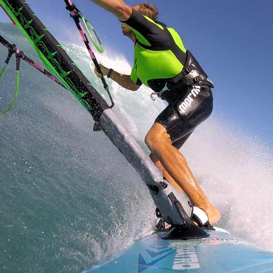albero windsurf reptile